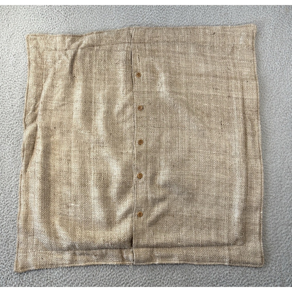 Ralph Lauren LRL Westmont Euro Sham Natural Tussah Silk Harlow Collection